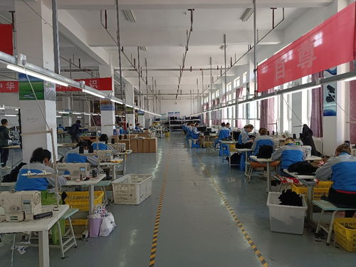 高质量发展调研行丨中欧班列赋能产业升级 重庆轻纺产品畅销全球，软件开发迎来新机遇