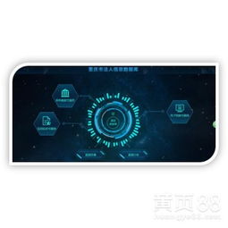 重庆南华中天软件开发 区域软件产业的创新力量